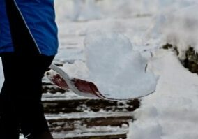 Snow and Ice Management